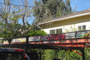 Landscaping Rain Gutter Tree Debris Cleaning - Landscaping
