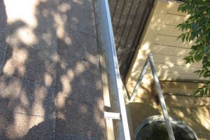 Landscaping Rain Gutter Tree Debris Cleaning - Landscaping