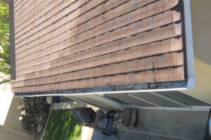 Landscaping Rain Gutter Tree Debris Cleaning - Landscaping