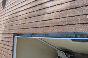 Landscaping Rain Gutter Tree Debris Cleaning - Landscaping