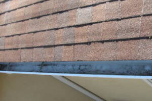 Landscaping Rain Gutter Tree Debris Cleaning - Landscaping