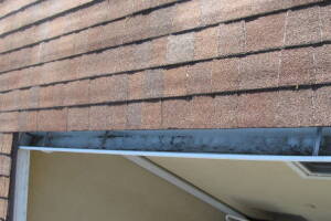 Landscaping Rain Gutter Tree Debris Cleaning - Landscaping