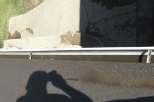 Landscaping Rain Gutter Tree Debris Cleaning - Landscaping