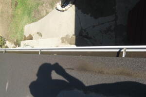 Landscaping Rain Gutter Tree Debris Cleaning - Landscaping