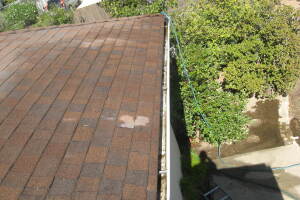 Landscaping Rain Gutter Tree Debris Cleaning - Landscaping