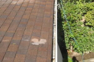 Landscaping Rain Gutter Tree Debris Cleaning - Landscaping
