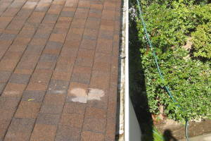 Landscaping Rain Gutter Tree Debris Cleaning - Landscaping