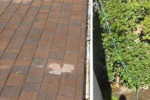 Landscaping Rain Gutter Tree Debris Cleaning - Landscaping