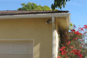 Landscaping Rain Gutter Tree Debris Cleaning - Landscaping