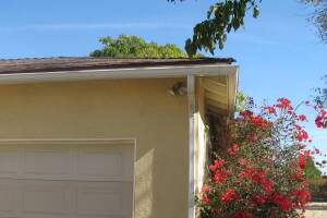 Landscaping Rain Gutter Tree Debris Cleaning - Landscaping