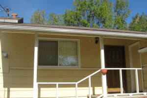 Landscaping Rain Gutter Tree Debris Cleaning - Landscaping