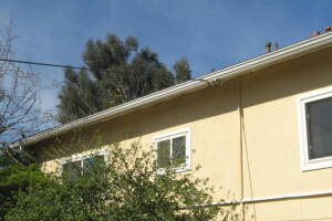 Landscaping Rain Gutter Tree Debris Cleaning - Landscaping