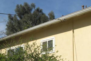 Landscaping Rain Gutter Tree Debris Cleaning - Landscaping