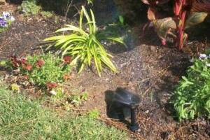 Landscaping Drip System Extension Repairs - Landscaping
