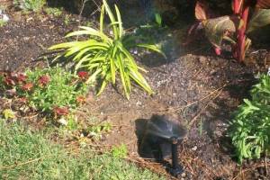 Landscaping Drip System Extension Repairs - Landscaping