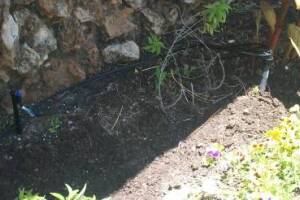 Landscaping Drip System Extension Repairs - Landscaping
