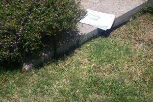 Landscaping Drip System Extension Repairs - Landscaping