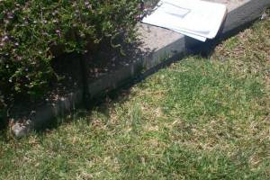 Landscaping Drip System Extension Repairs - Landscaping
