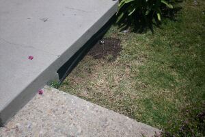Landscaping Drip System Extension Repairs - Landscaping