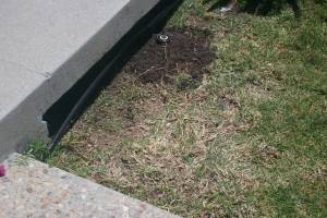 Landscaping Drip System Extension Repairs - Landscaping