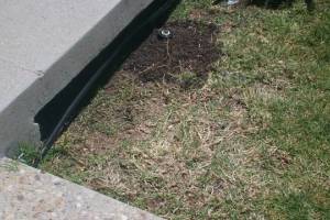 Landscaping Drip System Extension Repairs - Landscaping