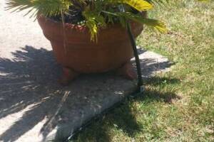 Landscaping Drip System Extension Repairs - Landscaping