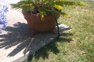 Landscaping Drip System Extension Repairs - Landscaping