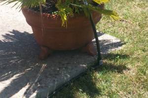 Landscaping Drip System Extension Repairs - Landscaping