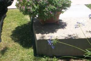 Landscaping Drip System Extension Repairs - Landscaping