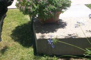 Landscaping Drip System Extension Repairs - Landscaping