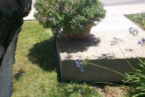 Landscaping Drip System Extension Repairs - Landscaping