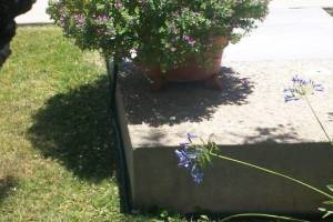 Landscaping Drip System Extension Repairs - Landscaping