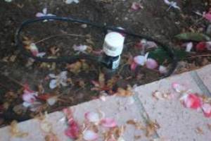 Landscaping Drip System Extension Repairs - Landscaping