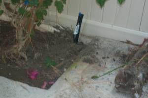 Landscaping Drip System Extension Repairs - Landscaping