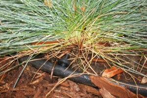 Landscaping Drip System Install Repairs - Landscaping