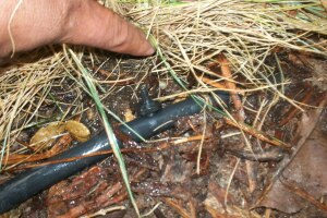 Landscaping Drip System Install Repairs - Landscaping