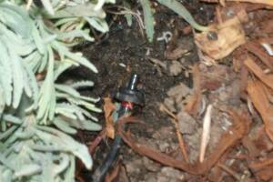 Landscaping Drip System Install Repairs - Landscaping