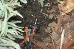 Landscaping Drip System Install Repairs - Landscaping