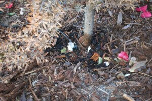 Landscaping Drip System Install Repairs - Landscaping