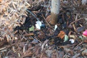 Landscaping Drip System Install Repairs - Landscaping