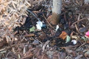 Landscaping Drip System Install Repairs - Landscaping