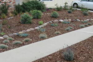 Landscaping Drip System Install Repairs - Landscaping
