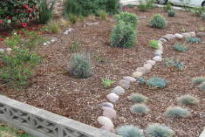 Landscaping Drip System Install Repairs - Landscaping