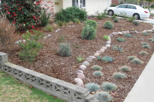 Landscaping Drip System Install Repairs - Landscaping