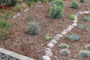 Landscaping Drip System Install Repairs - Landscaping