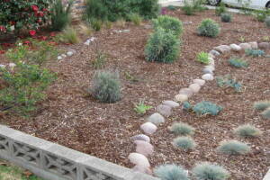 Landscaping Drip System Install Repairs - Landscaping