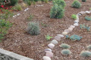 Landscaping Drip System Install Repairs - Landscaping