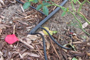 Landscaping Drip System Install Repairs - Landscaping