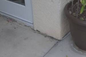 Landscaping Drip System Irrigation Install - Landscaping