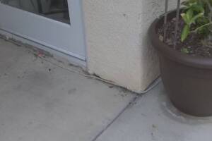 Landscaping Drip System Irrigation Install - Landscaping